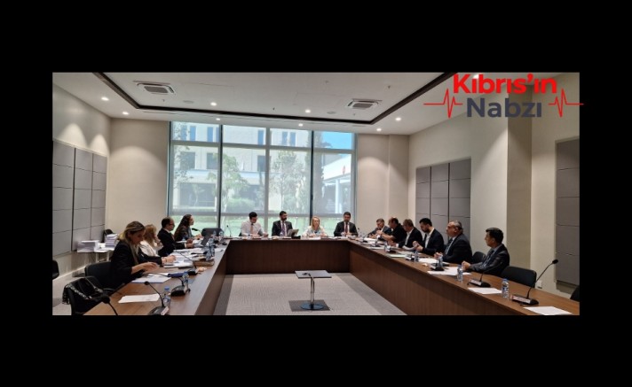 İDARİ, KAMU VE SAĞLIK İŞLERİ KOMİTESİ GÜNDEMİNDEKİ YASA ÖNERİLERİNİ GÖRÜŞTÜ