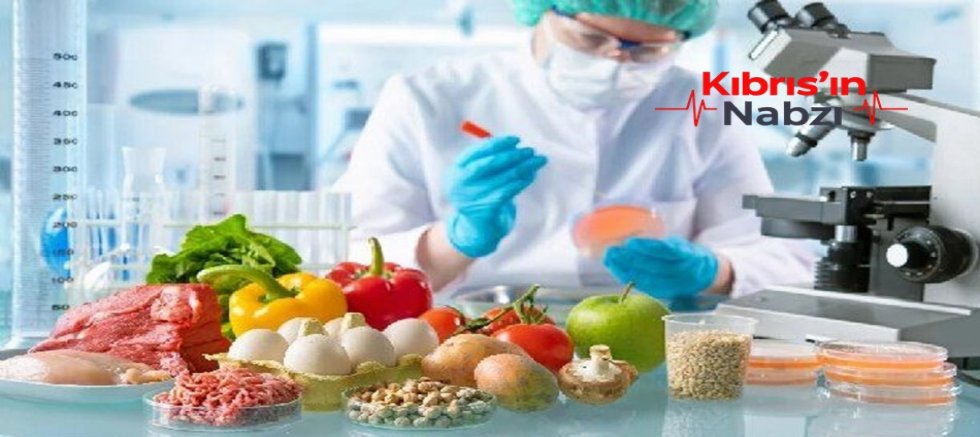 GIDA DENETİM SONUÇLARI
