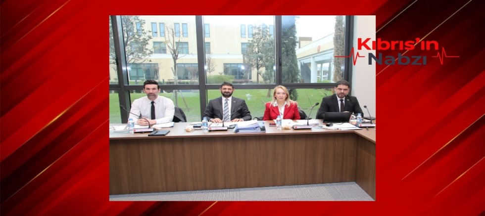 İDARİ, KAMU VE SAĞLIK İŞLERİ KOMİTESİ GÜNDEMİNDEKİ YASA TASARISINI GÖRÜŞTÜ