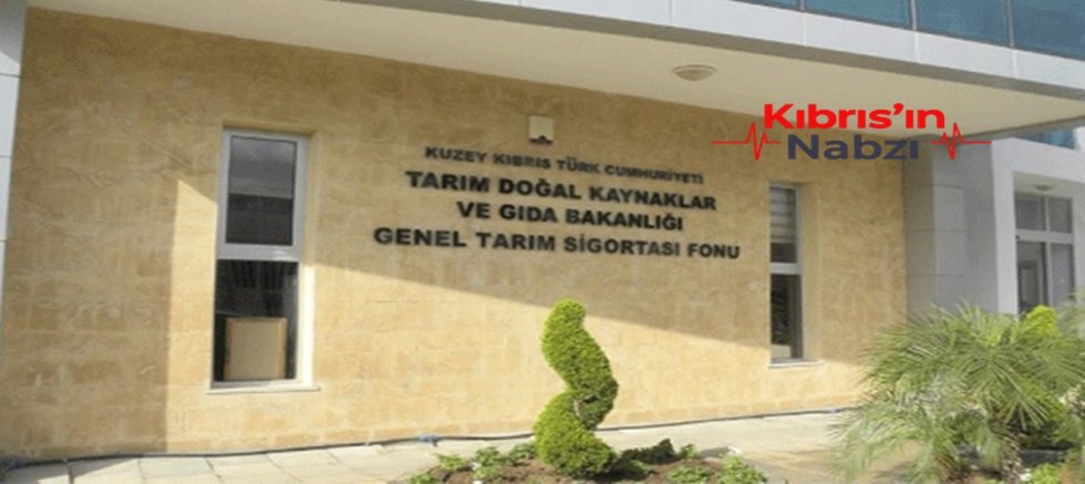 TARIM BAKANLIĞI KUŞ GRİBİNE KARŞI TEDBİRLERİN ARTTIRILMASI ÇAĞRISI YAPTI