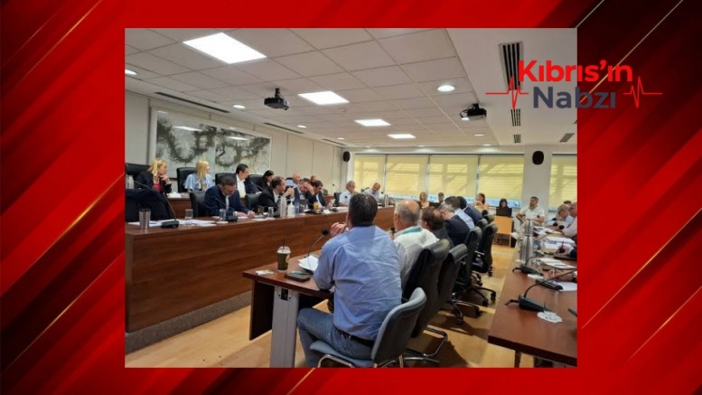 RUM MECLİSİ ENERJİ KOMİTESİ'NDEN 