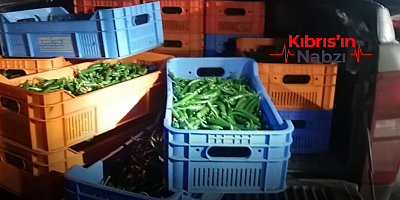 100 KİLO BİBERLE YAKALANDI