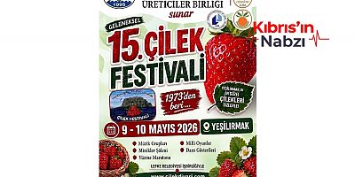 15. ÇİLEK FESTİVALİ 9-10 MAYIS TARİHLERİNDE YAPILACAK