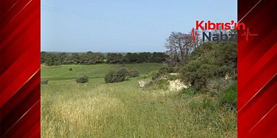 280 BİN STERLİNLİK ARAZİ SATIŞINDA VURGUN