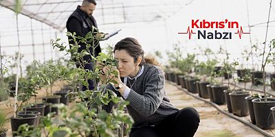 40 BİN FAYDALI BÖCEK DAHA DOĞAYA BIRAKILDI