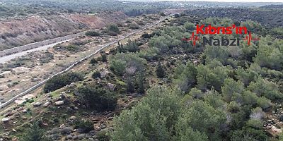 62 ÖRGÜTTEN KKTC’DE ORMAN ARAZİLERİNİN DEVRİNE SERT TEPKİ