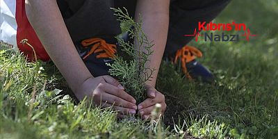 AB’DEN AĞAÇ DİKİM ETKİNLİĞİ