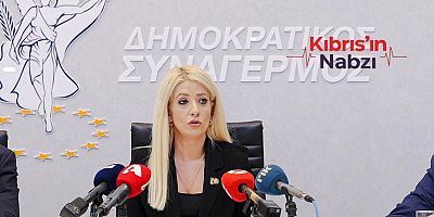 ANNITA DIMITRIU'DAN ANKARA'YA ŞARTLI VİZE