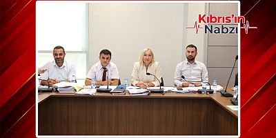 ATEŞLİ SİLAHLAR (DEĞİŞİKLİK) YASA TASARISI MECLİS KOMİTESİNDE ELE ALINDI