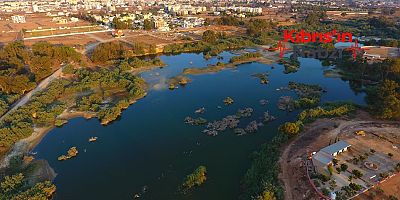 AYLUGA SULAK ALANI ACİL EYLEM PLANI