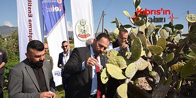 BABUTSA İÇİN BİYOLOJİK MÜCADELE START ALDI