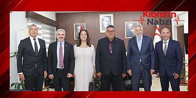 BEROVA, VODAFONE TÜRKİYE VE TELSİM HEYETİNİ KABUL ETTİ