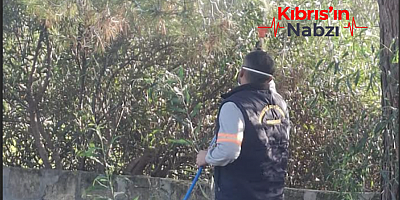 ÇAM KESE BÖCEĞİYLE MÜCADELE DEVAM EDİYOR