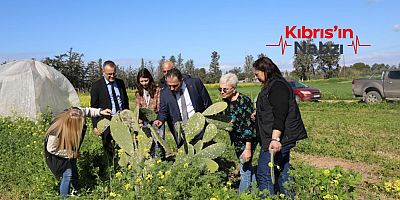 ÇAVUŞ: BABUTSA’YI YENİDEN AYAĞA KALDIRIYORUZ