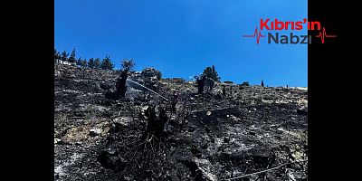ÇAVUŞ: TAŞKENT'TEKİ YANGIN HIZLICA KONTROL ALTINA ALINDI