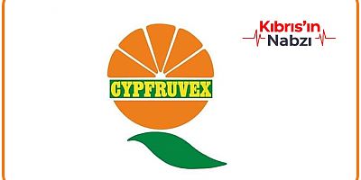 CYPFRUVEX: VALENSİYA FİYATLARI ÜRÜN KALİTESİNE GÖRE OLACAK