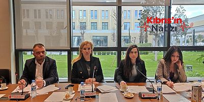 EKONOMİ, MALİYE, BÜTÇE VE PLAN KOMİTESİ, DÖRT YASA TASARISINI GÖRÜŞTÜ