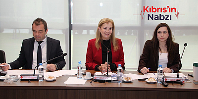 EKONOMİ, MALİYE, BÜTÇE VE PLAN KOMİTESİ TOPLANDI