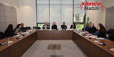 EKONOMİ, MALİYE, BÜTÇE VE PLAN KOMİTESİ TOPLANDI