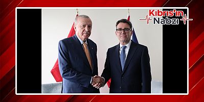 ERDOĞAN, İNGİLTERE BAŞBAKANI BURNHAM İLE GÖRÜŞTÜ
