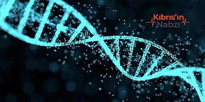 ERKEKLİK KROMOZOMU YOK OLABİLİR!