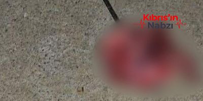 EVİN BALKONUNA KUZU KELLESİ ATILDI