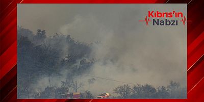 FRANSA'DA BİNLERCE HEKTARLIK ORMAN YANDI