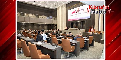 GEMİ FACİASI İÇİN ARAŞTIRMA KOMİTESİ KURULDU