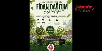 GİRNE BELEDİYESİ ABONELERİNE ÜCRETSİZ FİDAN DAĞITACAK