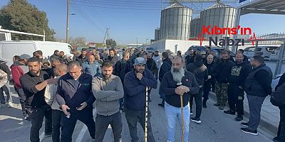 GÜNEY KIBRIS’TA ÇİFTÇİLERDEN HAYVAN İTLAFINA PROTESTO