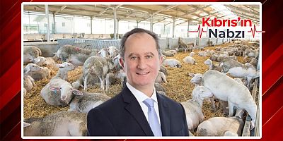 GÜNEY KIBRIS’TA HAYVANCILIK İÇİN 610 MİLYON EUROLUK YAPILANMA  BÜTÇESİ