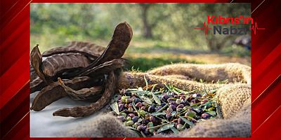 GÜZELYURT'TA HASAT TARİHLERİ BELİRLENDİ