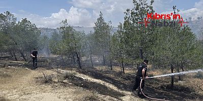 HASPOLAT - GÜNGÖR ANA YOLUNUN BATISINDAKİ ORMANLIK ALANDA YANGIN