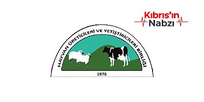 HAYVAN ÜRETİCİLERİ: SEKTÖR GÖZ GÖRE ÇÖKERTİLİYOR