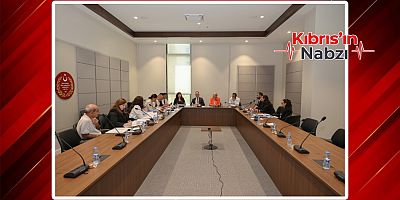 HUKUK KOMİTESİ'NDE BİR YASA, BİR DE KARAR TASARISI GÖRÜŞÜLDÜ