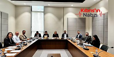 HUKUK, SİYASİ İŞLER, DIŞ İLİŞKİLER VE SAVUNMA KOMİTESİ TOPLANDI