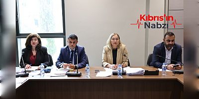 HUKUK,SİYASİ İŞLER, DIŞ İLİŞKİLER VE SAVUNMA KOMİTESİ TOPLANDI