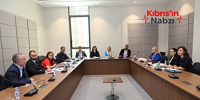 HUKUK, SİYASİ İŞLER, DIŞİLİŞKİLER VE SAVUNMA KOMİTESİ TOPLANDI