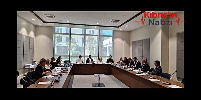 İDARİ, KAMU VE SAĞLIK İŞLERİ KOMİTESİ GÜNDEMİNDEKİ YASA ÖNERİLERİNİ GÖRÜŞTÜ