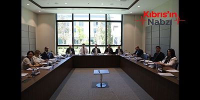 İDARİ, KAMU VE SAĞLIK İŞLERİ KOMİTESİ TOPLANDI