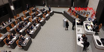 İKİ YASA TASARISI OY ÇOKLUĞUYLA ONAYLANDI