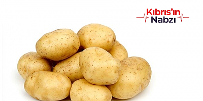 İlkbahar patates beyan alımları