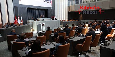 İNCİRLİ: LEFKE’DE DRAM YAŞANIYOR, HÜKÜMET İRADESİNİ KAYBETTİ