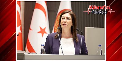 Sıla Usar İncirli