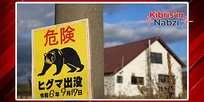 JAPONYA'DA AYI SEFERBERLİĞİ