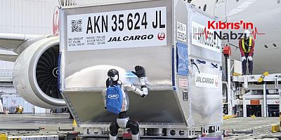 JAPONYA'DA HAVALİMANINDA BAVULLAR İNSANSI ROBOTLARA EMANET