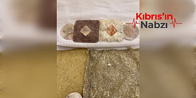 Kıbrıslı sanatçı ve araştırmacı Feza Aygın Sanıvar