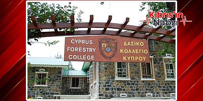 KKTC'DE YAŞAYAN RUM ÖĞRENCİLER ORMANCILIK KOLEJİ'NE SINAVSIZ GİREBİLECEK