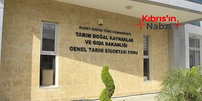KTEZO VE KASAPLAR BİRLİĞİ, YARIN EYLEM YAPACAK