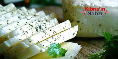 KTSO: YEŞİL HAT ÜZERİNDEN HELLİM İHRACATINDAKİ ENGEL KALKIYOR